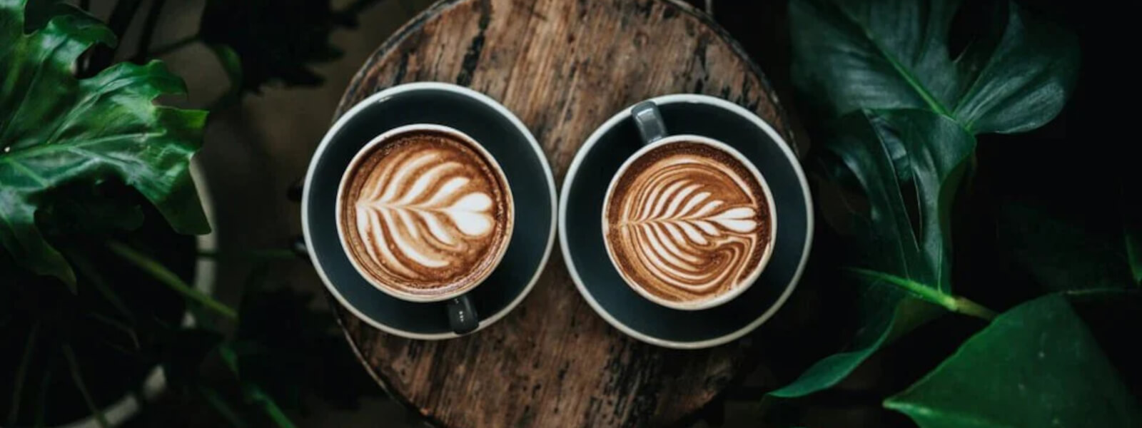 Kombinationen af CBD og koffein: Hvad sker der, når de mødes?