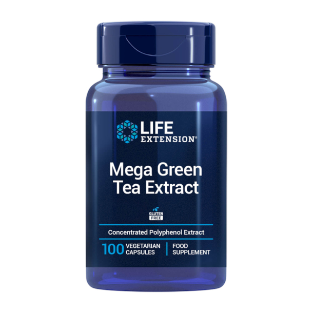 Mega grøn Te-ekstrakt EU | 100 vegetariske kapsler | Kardiovaskulær og Kognitiv Sundhed