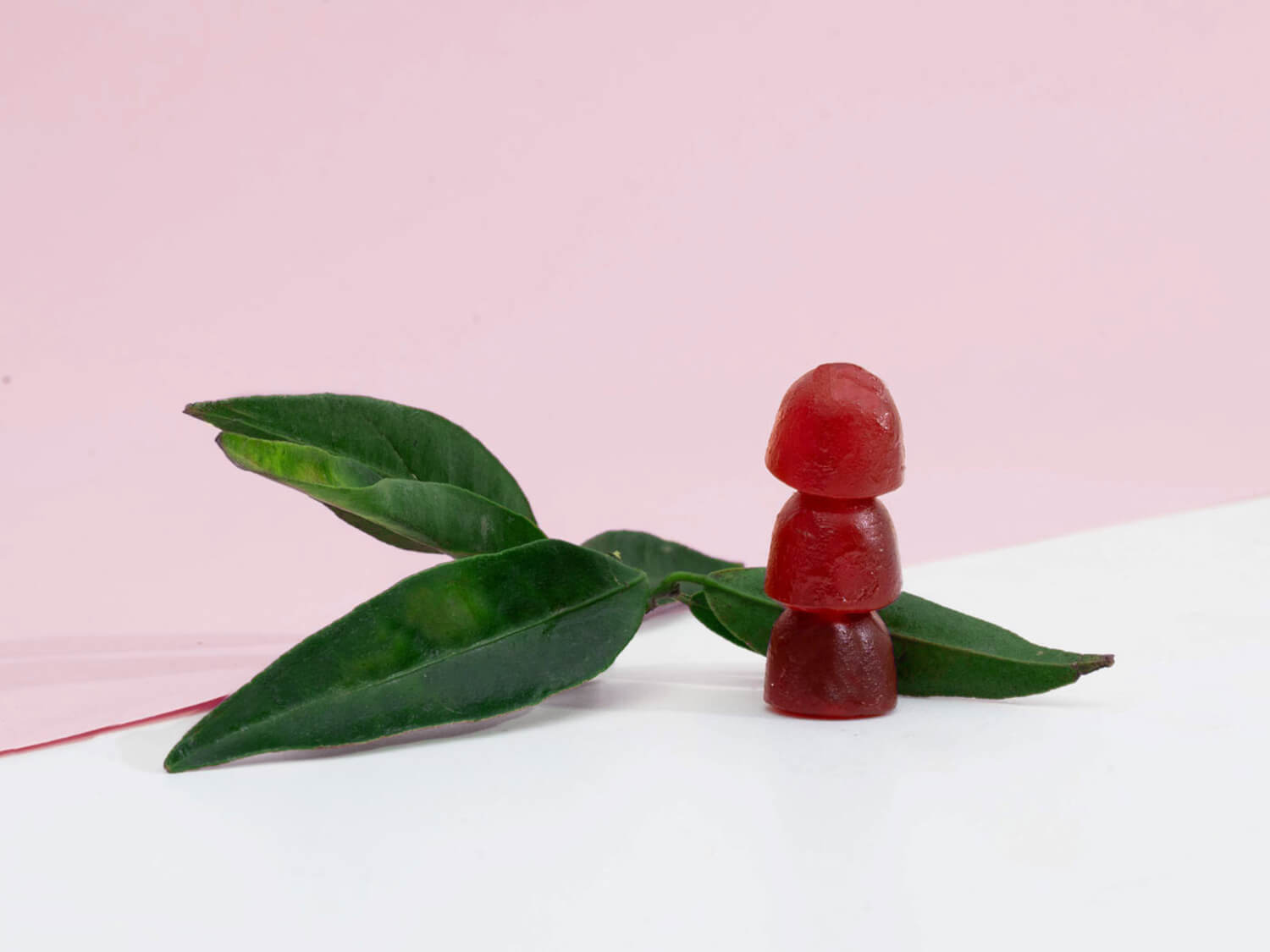 CBD vingummi med Jordbærsmag - Nordic Oil - SpicyMedical