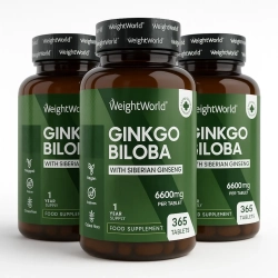 Ginkgo Biloba &amp; Ginseng | 3 x 365 tabletter | 6600 mg