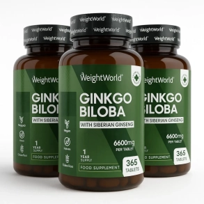 Ginkgo Biloba & Ginseng | 3 x 365 tabletter | 6600 mg