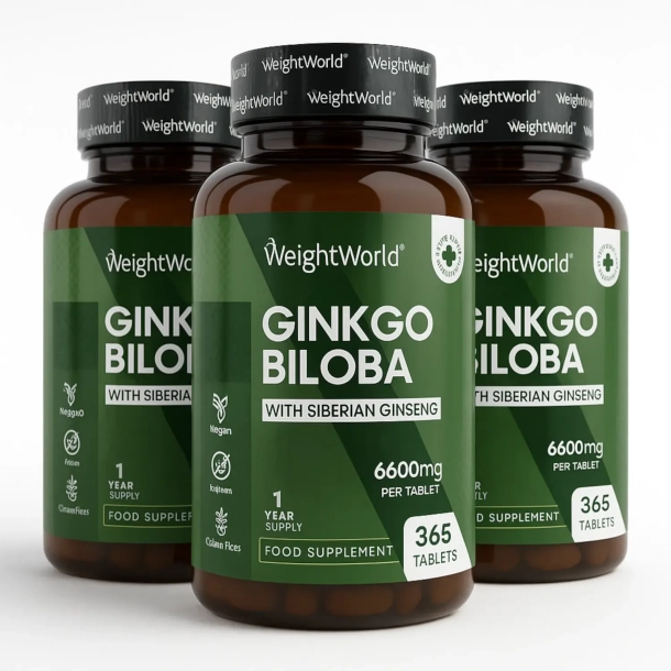 Ginkgo Biloba &amp; Ginseng | 3 x 365 tabletter | 6600 mg