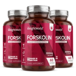 Forskolina | 3 x 60 kapsu&#322;ek | Suplement diety na spalanie tkanki t&#322;uszczowej