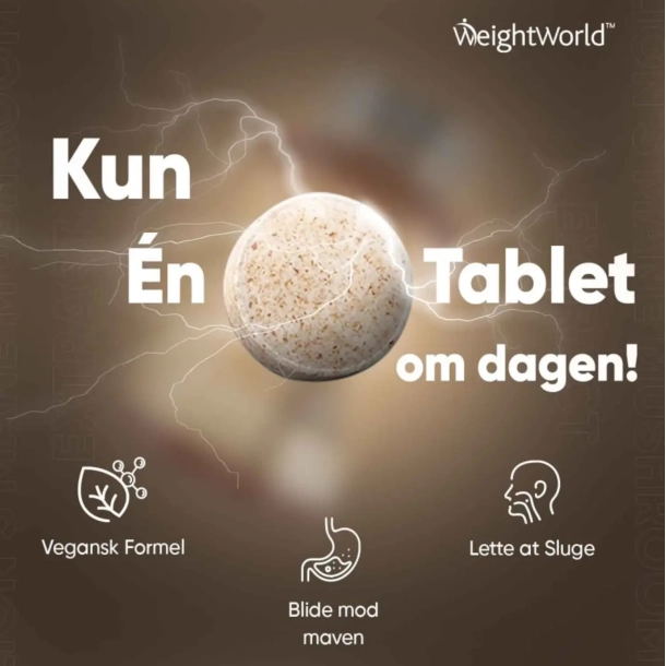 Lions Mane | 365 tabletter | 2000mg