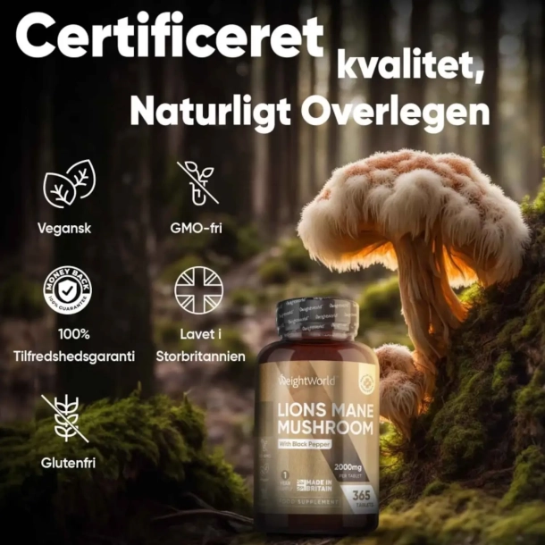 Lions Mane | 365 tabletter | 2000mg