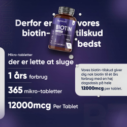 Biotin B7-vitamin | 365 tabletter | Vitaminer