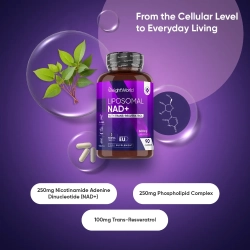 Liposomal NAD+ | 90 kapsler | Med resveratrol