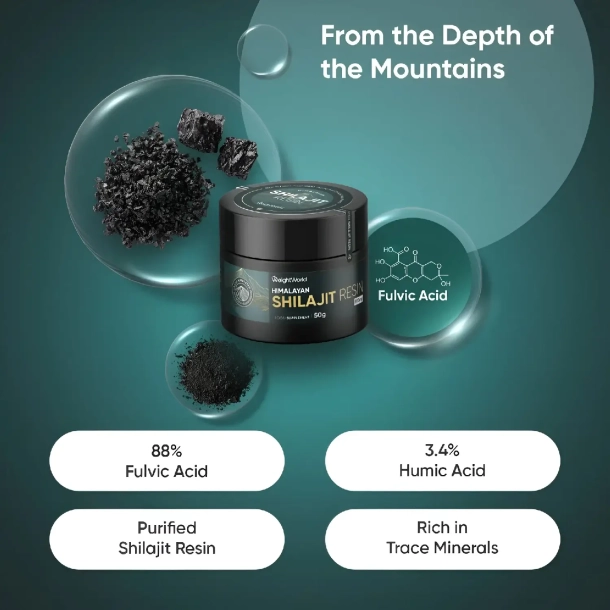 Himalaya Shilajit harpiks | 3 x 50 g | For udholdenhed og vitalitet