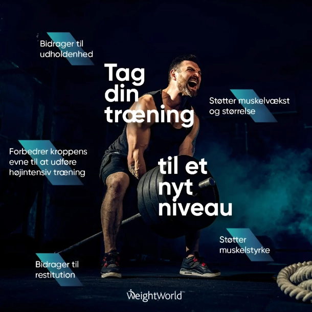 Kreatinpulver (Monohydrat) | 3 x 500g | Rent kreatinpulver til muskelopbygning