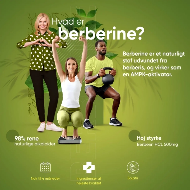 Berberine 500 mg l 120 kapsler l Til hjerte og blodkar