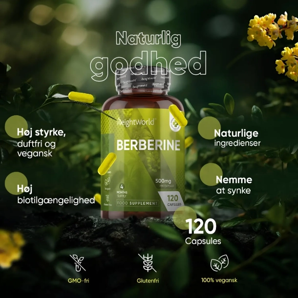 Berberine 500 mg l 120 kapsler l Til hjerte og blodkar