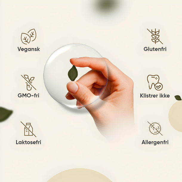 Lion's Mane vingummier | 3 x 90 gummies | 2000mg