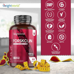 Forskolina | 3 x 60 kapsu&#322;ek | Suplement diety na spalanie tkanki t&#322;uszczowej