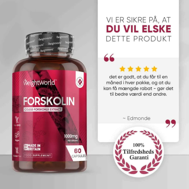 Forskolina | 3 x 60 kapsu&#322;ek | Suplement diety na spalanie tkanki t&#322;uszczowej