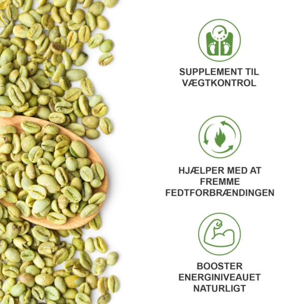 Grn Kaffe | 3 x 90 kapsler | Koffeinpiller til stofskifte og energi