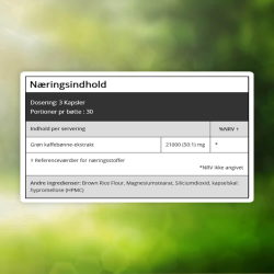 Grn Kaffe | 3 x 90 kapsler | Koffeinpiller til stofskifte og energi