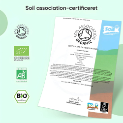 Matcha Te Pulver | 3 x 100 g | Superfood til energi &amp; immunforsvar