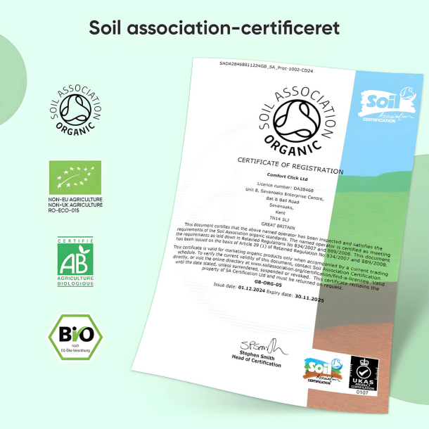 Matcha Te Pulver | 3 x 100 g | Superfood til energi &amp; immunforsvar