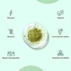 Matcha Te Pulver | 3 x 100 g | Superfood til energi &amp; immunforsvar