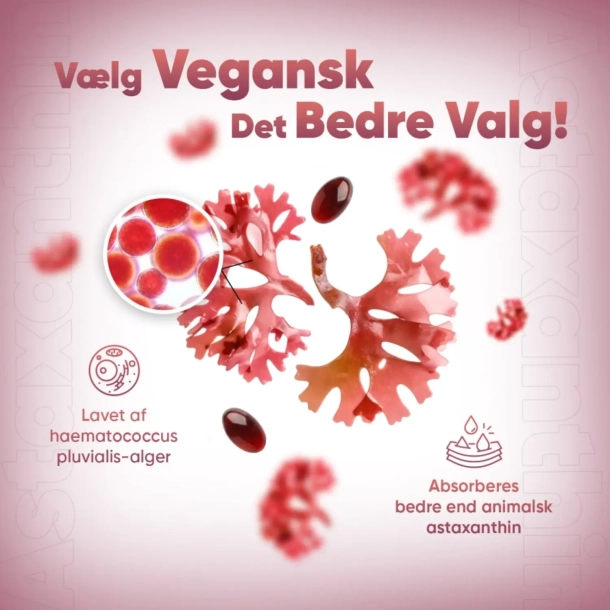 Astaxanthin | 18 mg | 240 softgels