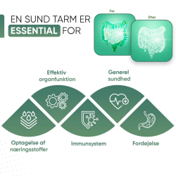 kologiske Loppefrskaller | Kapsler 3 x 180 stk | Kostfibre til fordjelsen