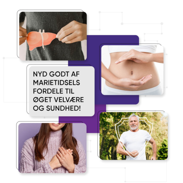 Marietidsel | 180 kapsler | Kosttilskud til leveren