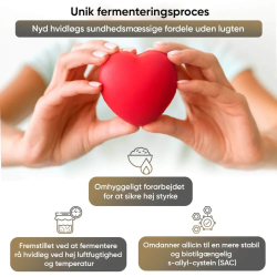 Czarny czosnek | 180 kapsu&#322;ek | Suplementy diety na poziom cukru i cholesterolu we krwi