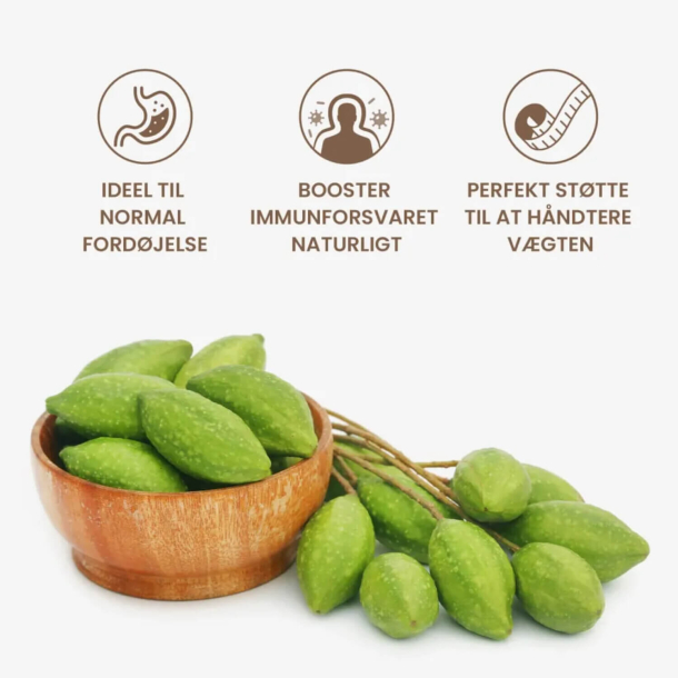 Organiczny proszek Haritaki | 200g | Suplement diety na &#380;o&#322;&#261;dek i trawienie