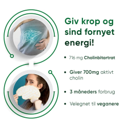 Cholina | 180 kapsu&#322;ek | Suplement diety na w&#261;trob&#281;, mzg i spalanie