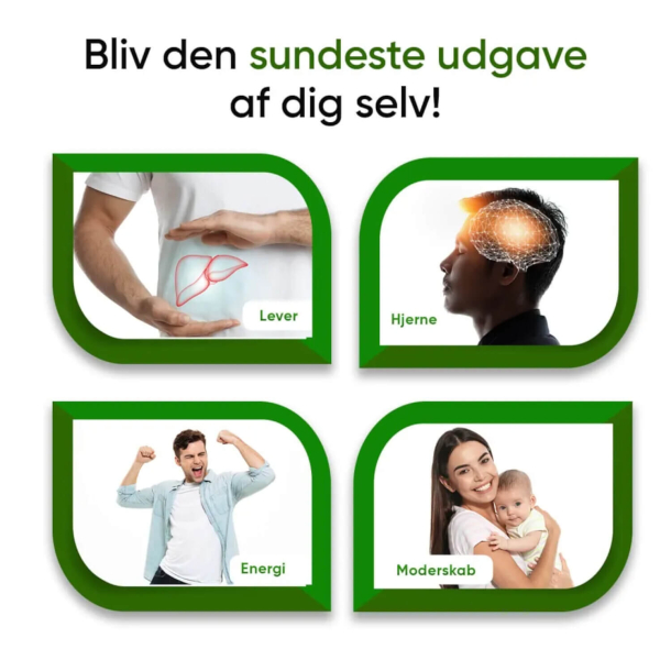 Cholina | 180 kapsu&#322;ek | Suplement diety na w&#261;trob&#281;, mzg i spalanie