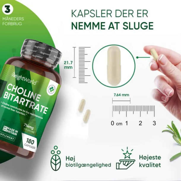 Cholina | 180 kapsu&#322;ek | Suplement diety na w&#261;trob&#281;, mzg i spalanie