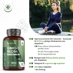 Ginkgo Biloba &amp; Ginseng | 3 x 365 tabletter | 6600 mg