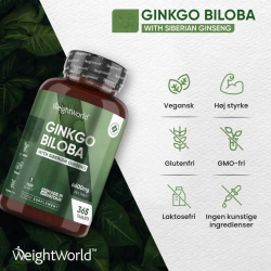 Ginkgo Biloba &amp; Ginseng | 3 x 365 tabletter | 6600 mg
