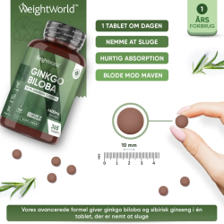 Ginkgo Biloba &amp; Ginseng | 3 x 365 tabletter | 6600 mg