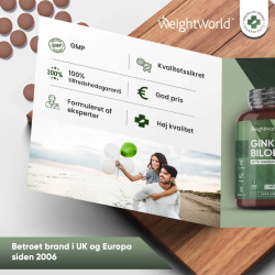 Ginkgo Biloba &amp; Ginseng | 3 x 365 tabletter | 6600 mg