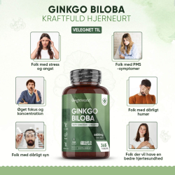 Ginkgo Biloba &amp; Ginseng | 3 x 365 tabletter | 6600 mg