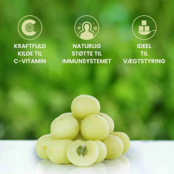 kologisk Amla Pulver | 3 x 200g | Superfood-pulver til hjerte &amp; immunforsvar