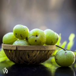 kologisk Amla Pulver | 3 x 200g | Superfood-pulver til hjerte &amp; immunforsvar