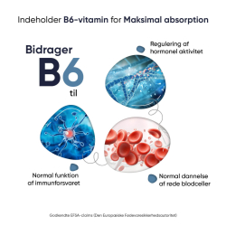 Marine Magnesium + B6-vitamin | 3 x 180 stk | 360 mg